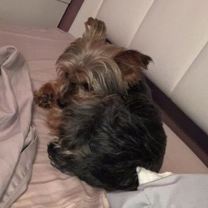 Meet your Posher, Rita